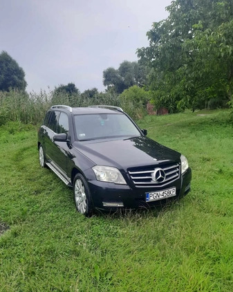 Mercedes-Benz GLK cena 59900 przebieg: 252000, rok produkcji 2010 z Gniezno małe 121